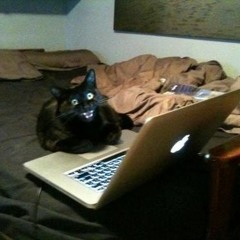 i cant stop looking at my twitter feed