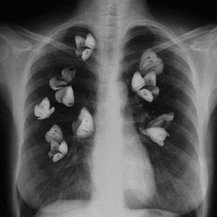 ‎⁨سورة الكهف كاملة - مشارى بن راشد العفاسى al- Kahf  by  Al Afasy⁩