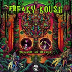 Melted Brain Series 17: FreakyKoush (FreakyNoise vs. Mr. Koush - DJ Set)