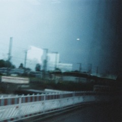 snowflakes and sheep thoughts