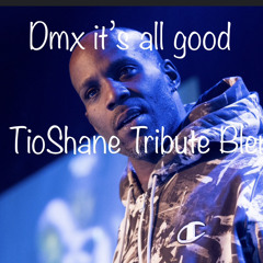 DMX  TRIBUTE ITS ALL GOOD BLEND