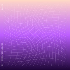 DS4 - Minimal Tech Basslines