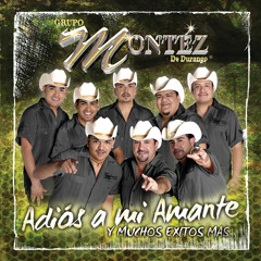 TELEHIT, TELEHIT MÚSICA Y BANDAMAX - 14