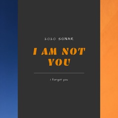 I Am Not You