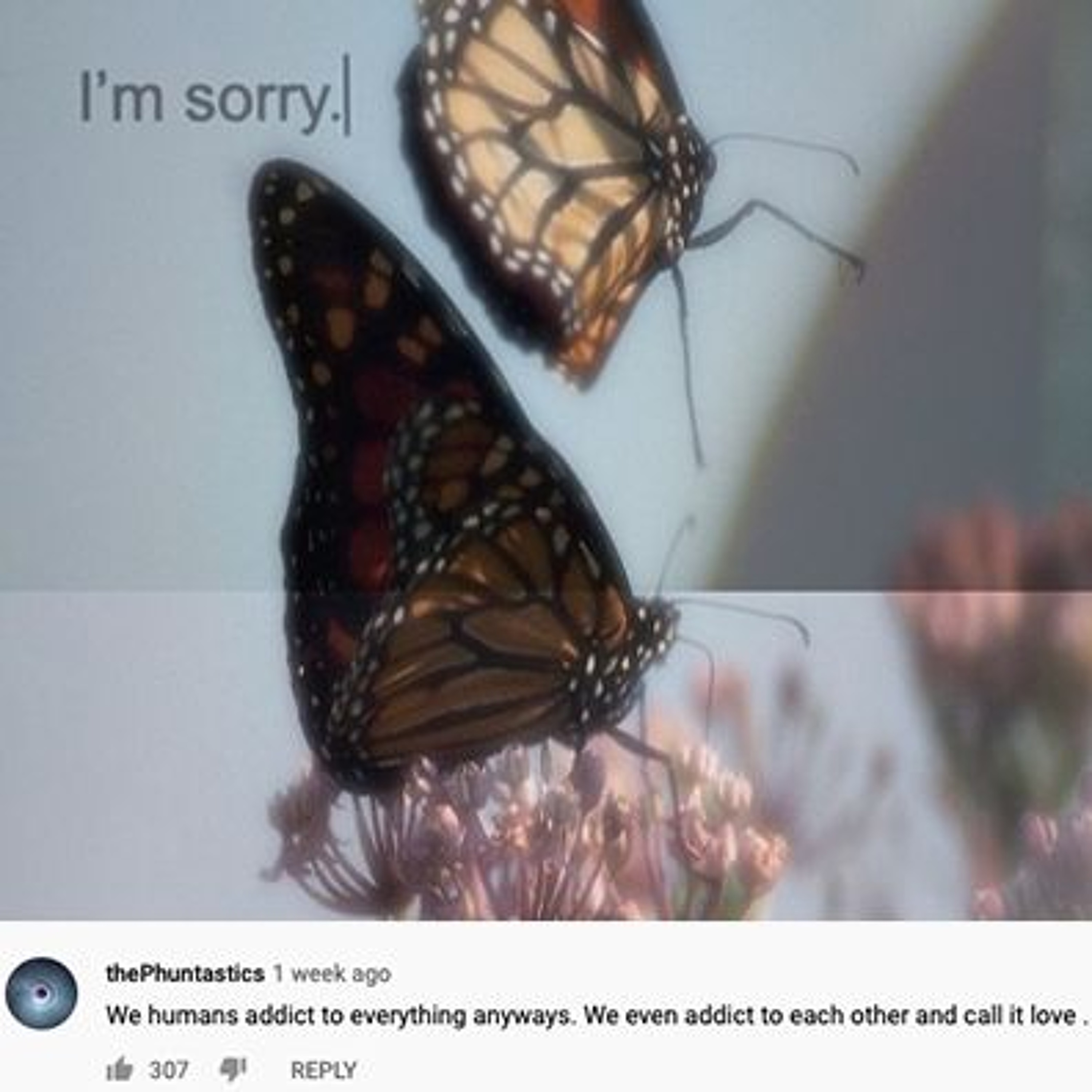 Sorry gotta be that way refix episode artwork