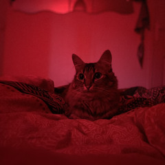 MALADE - KAYDE (no mix)