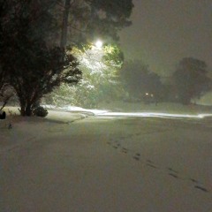 Everything Is Going To Be Okay May Dear