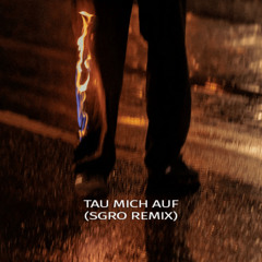 Zartmann - tau mich auf (SGRO Remix)