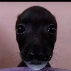 UR MOM (Prod.Kukyo icey)