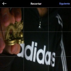 no sea sapo             ##empr