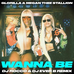 GloRilla feat. Megan Thee Stallion - Wanna Be (DJ ROCCO & DJ EVER B Remix) (Dirty)