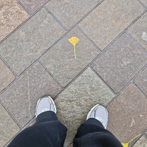 Jakob b2b Gillray 24/08/25