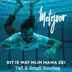 Dit Is Wat Mijn Mama Zei (Tall & Small Remix V2) - Metejoor