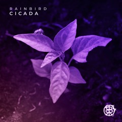 PREMIERE: Rainbird - Anahata [Stone Seed]