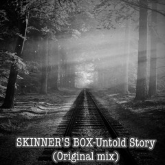 SKINNER'S BOX - Untold Story(Original Mix)