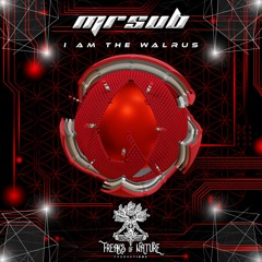 03. Mr Sub - I Am The Walrus