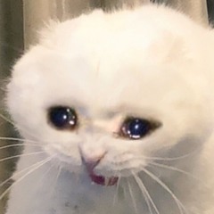 WRIGGLED BUSAN UNIV.