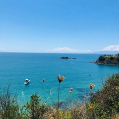 February Mix | Back in the Paradise