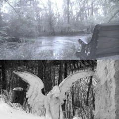 djembe - flight (vili, bayergartner)