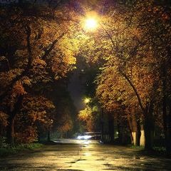 Shade Of Night