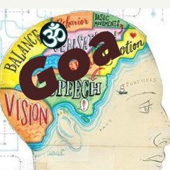 parts of the brain