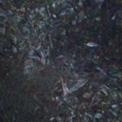 goodnightgoodmorningoodnight