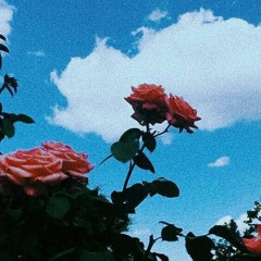 H O M E