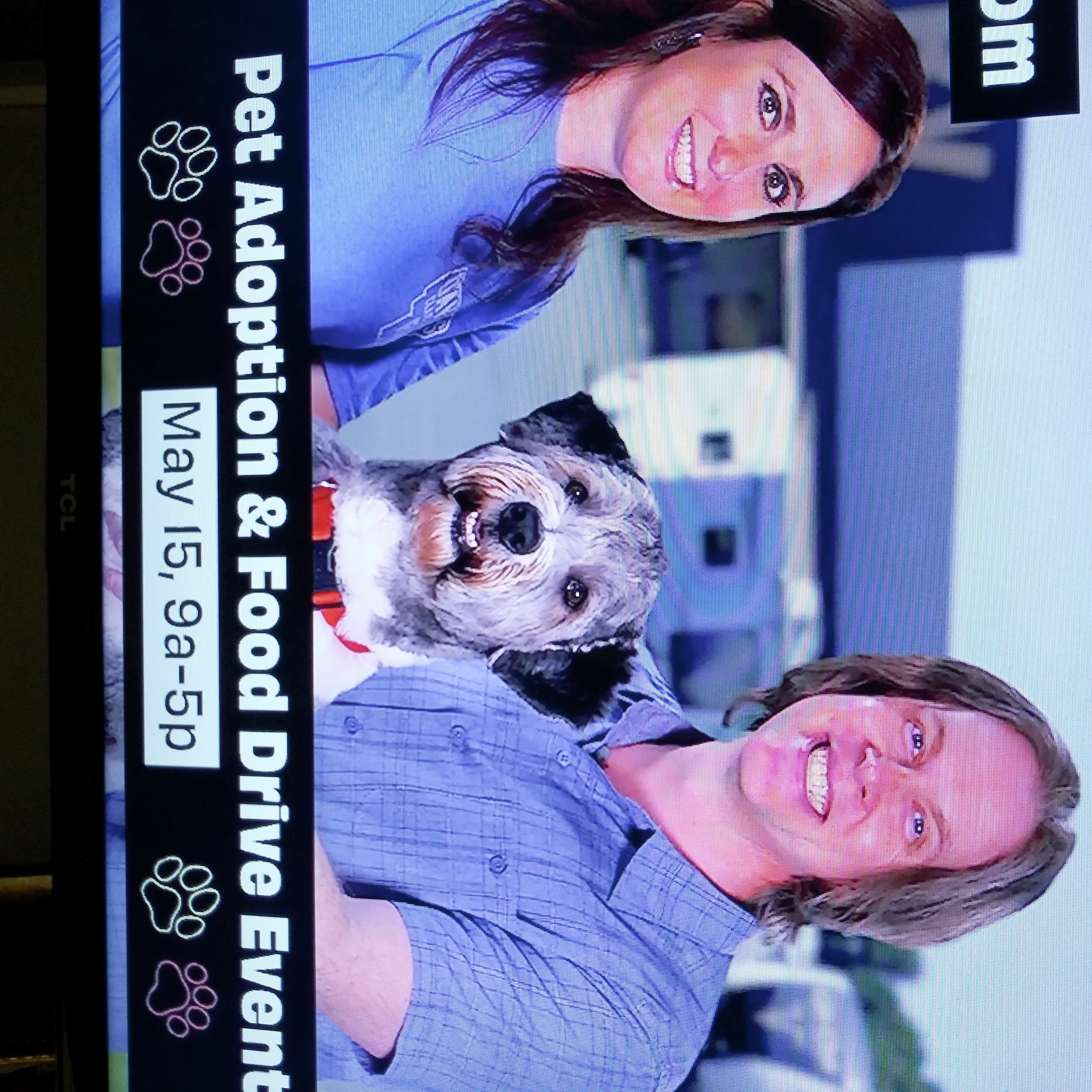 DAVE WESTON TALKS ABOUT ADOPTING PETS WITH STEPHANIE FROM DAVES RV episode artwork