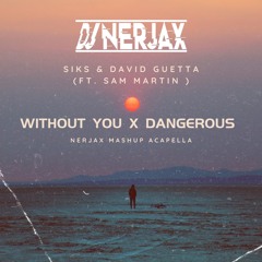 SIKS & David Guetta (ft. Sam Martin) - Without You X Dangerous ( Nerjax Mashup Acapella )