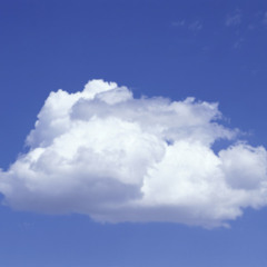 Blue Cloud