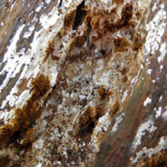 OARA RESIDENTS 002: ELECTROSTAAT