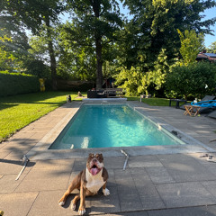 Poolside House 15.06.2025