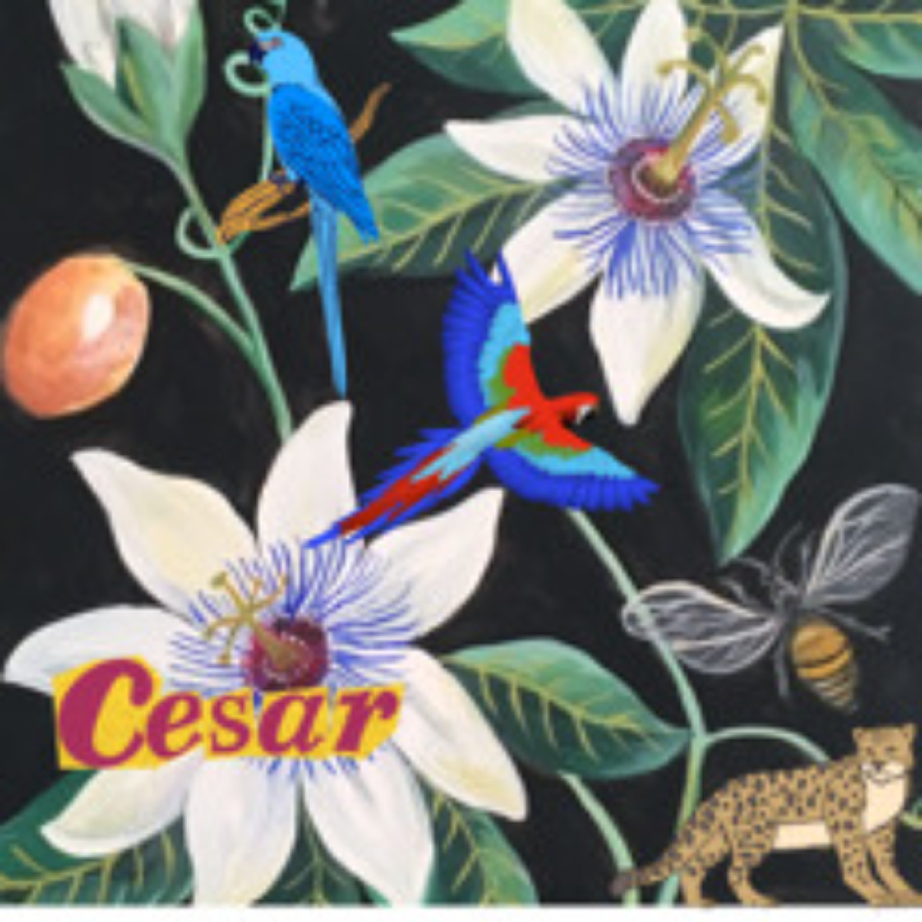Paisajes Sonoros Archivo de Prensa - Cesar episode artwork
