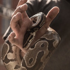 Attestation (Feat. Xay Hill)