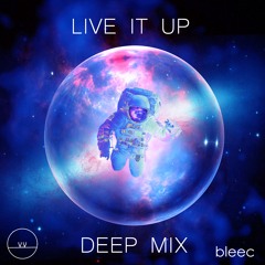 Live It Up (VVrabec's Deep Mix)