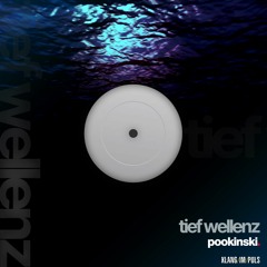 pookinski. - Tief Wellenzz (Original Mix)