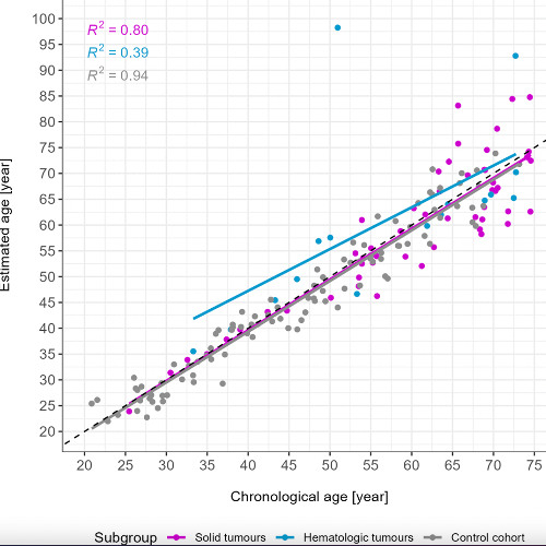Impact of Cancer on Forensic DNA Methylation Age Estimation