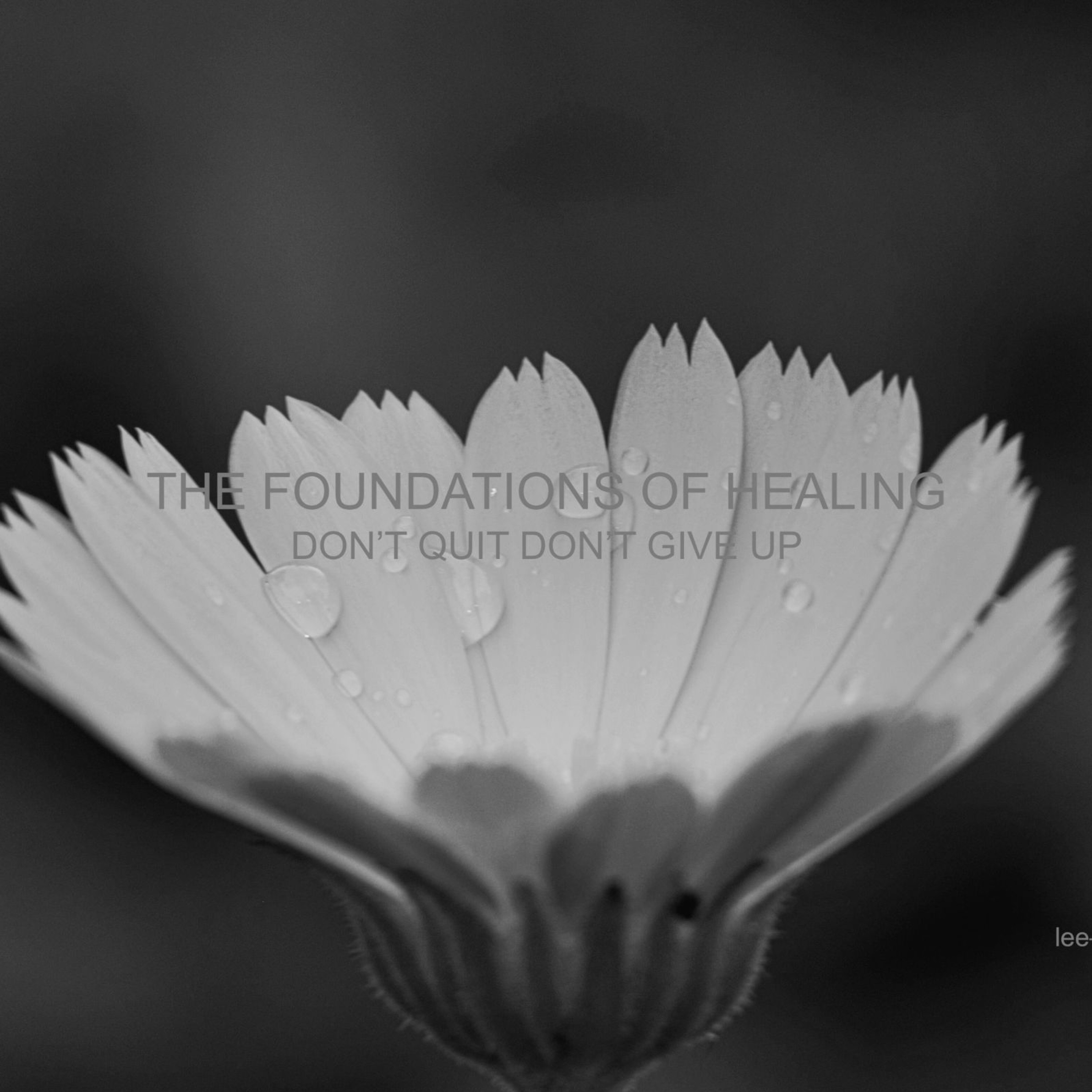 THE FOUNDATIONS OF HEALING — DON'T QUIT DON'T GIVE UP episode artwork