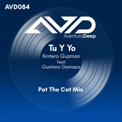 Tu Y Yo (Pat The Cat Deeper Radio Edit) Kintero Guzman feat. Gustavo Gamaza