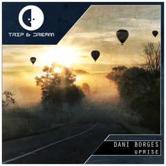 PREMIERE: Dani Borges - Gems  (Original Mix) [TRIP & dream]