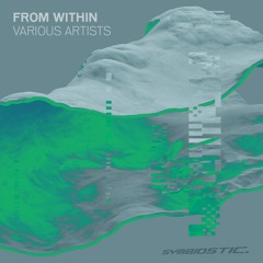 CONTINUOUS MIX + + + [SYMB054] VA - From Within