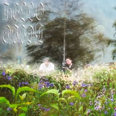 premiere: Miaw - hello hello [label: Petrola 80]