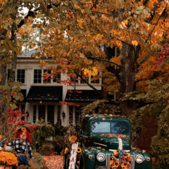 Жизнь - держись ( оригинал)