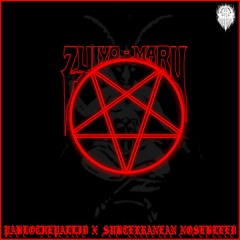 PABLOTHEPALLID X SUBTERRANEAN NOSEBLEED: ZUIYO-MARU