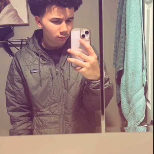 if i only had a heart