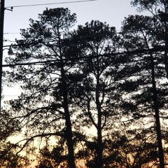 I'm Tired Cover (a cappella)