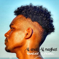 العسل النقط - شريف الفحيل