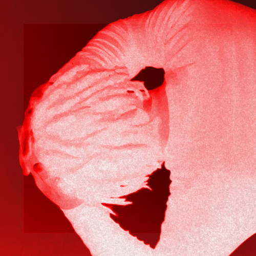 PUMPFAKE (prod. moneyceased)