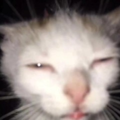 Edit Audios