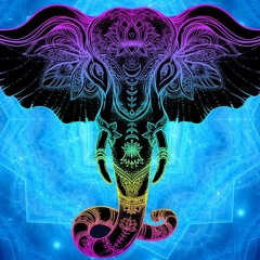 Mammoth Angel's Year One - Activating the Chakras